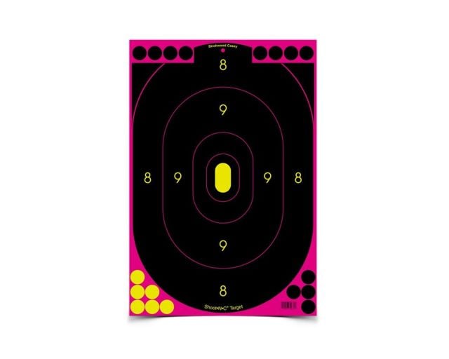 BIRCHWOOD CASEY SHOOT-N-C PINK TARGET 