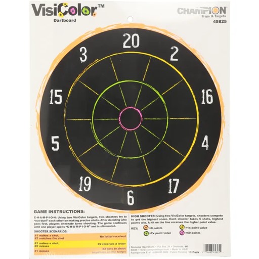 CHAMPION VISICOLOR DARTBOARD