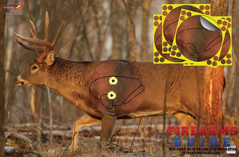 EAE-SCORE TARGETS WHITETAIL DEER 