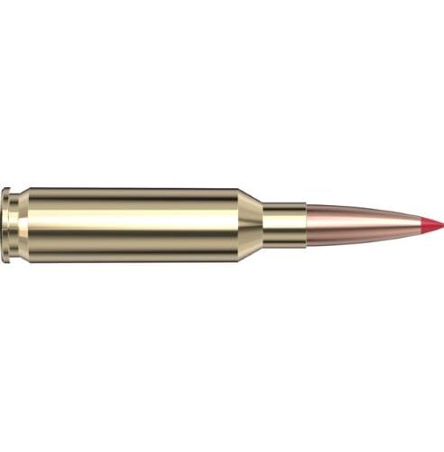 HORNADY PRECISION HUNTER 