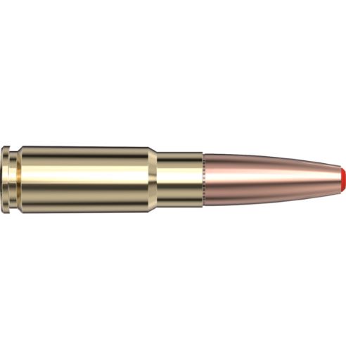 HORNADY SUBSONIC 