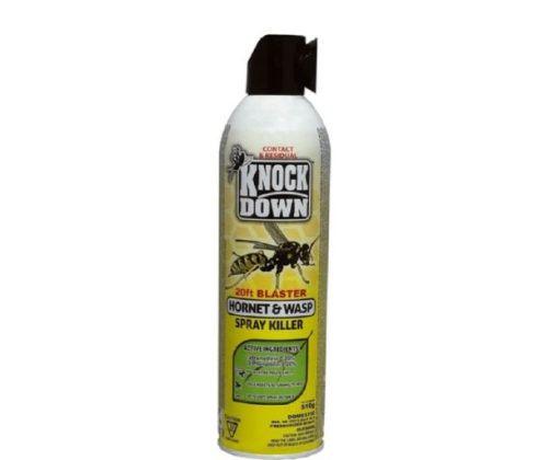 KNOCK DOWN HORNET & WASP SPRAY KILLER 