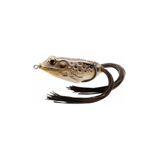 LIVE TARGET FROG