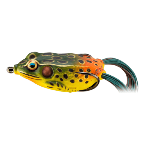 LIVE TARGET FROG