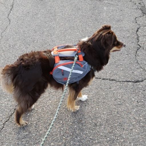 MOUNTAINSMITH K9 DOG PACK - Image 2
