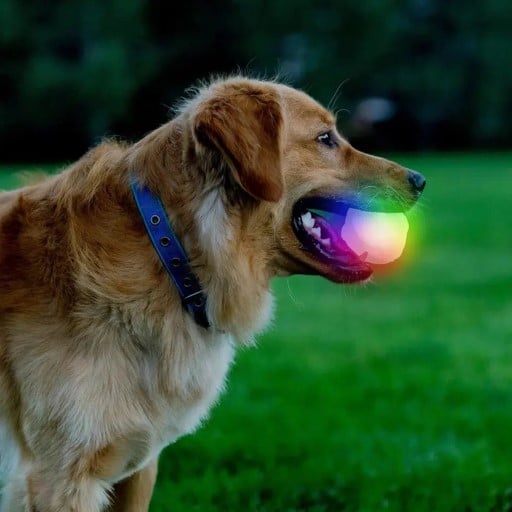 NITE IZE GLOWSTREAK WILD DISC-O LED BALL