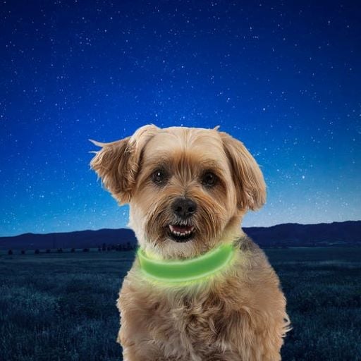 NITE IZE NITEDOG RECHARGEABLE LED COLLAR - SMALL