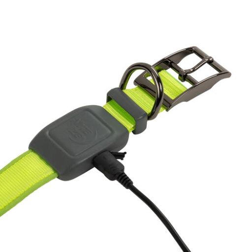 NITE IZE NITEDOG RECHARGEABLE LED COLLAR - SMALL - Image 2