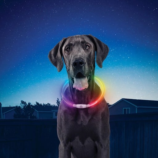 NITE IZE NITEHOWL RECHARGEABLE LED SAFETY NECKLACE 
