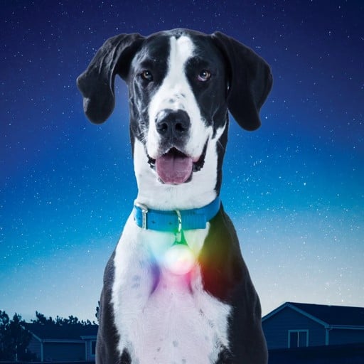 NITE IZE SPOTLIT XL COLLAR LIGHT 