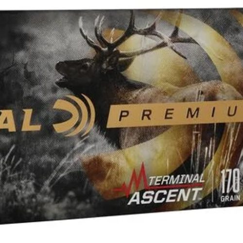 NOSLER BALLISTIC TIP 