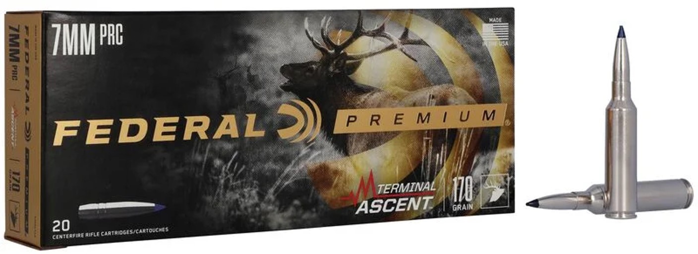 NOSLER BALLISTIC TIP 
