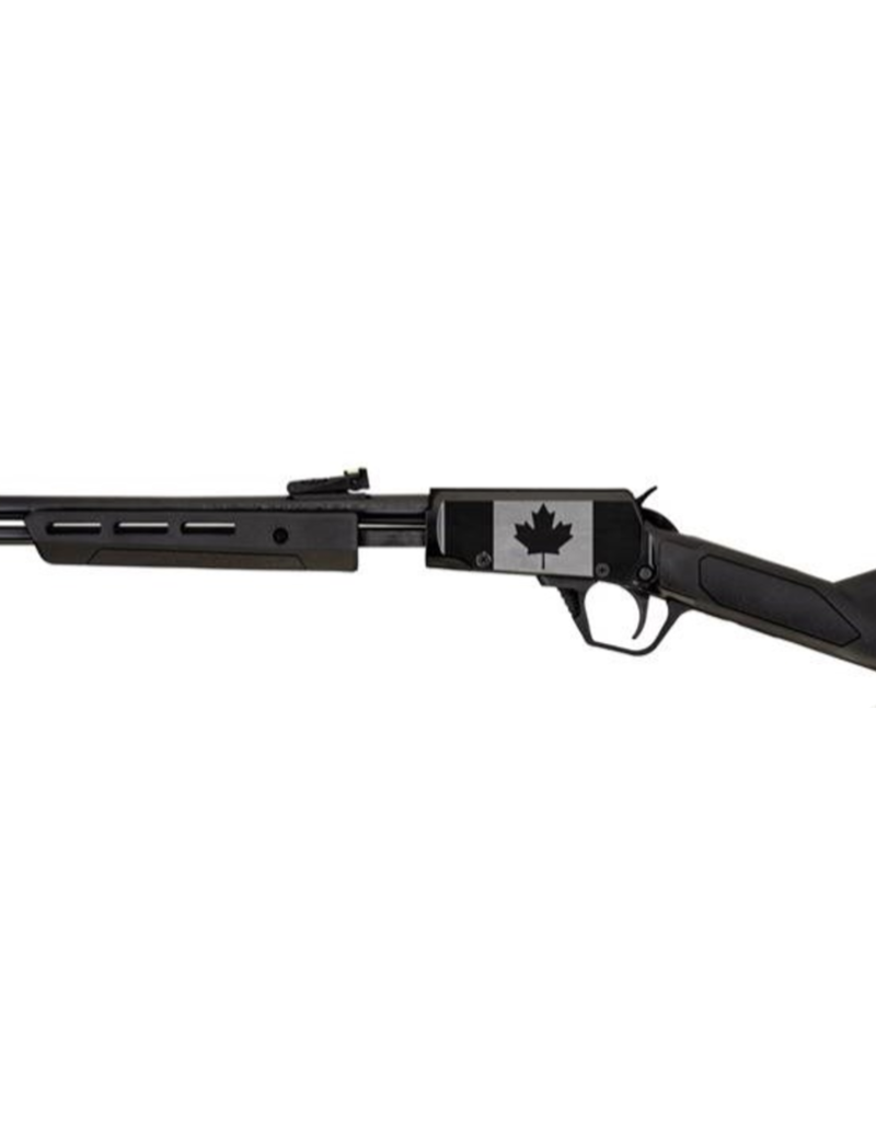 ROSSI GALLERY 22LR 18" - Image 2