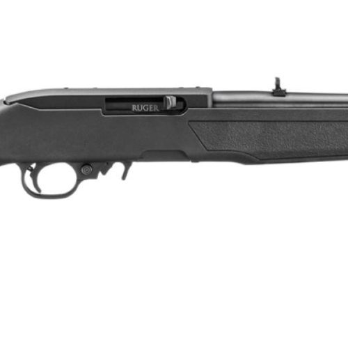 RUGER 22LR SEMIAUTO