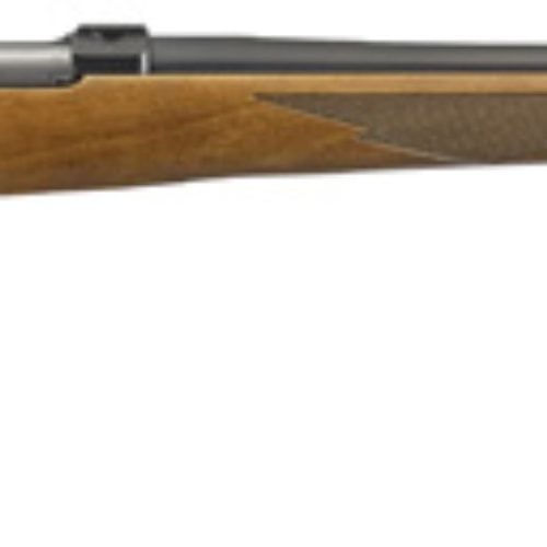 RUGER 77/17 
