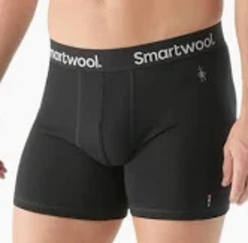 SMARTWOOL EVERYDAY BOXER BRIEF 