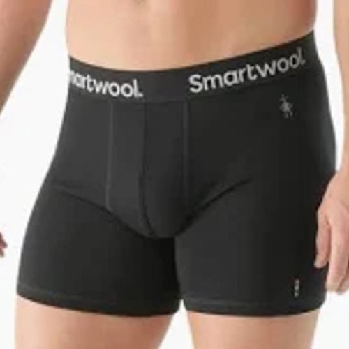 SMARTWOOL EVERYDAY BOXER BRIEF 