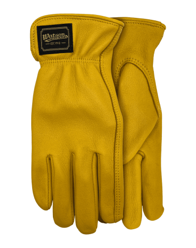 WATSON WOMAN'S WILD DEER SKIN GLOVE 