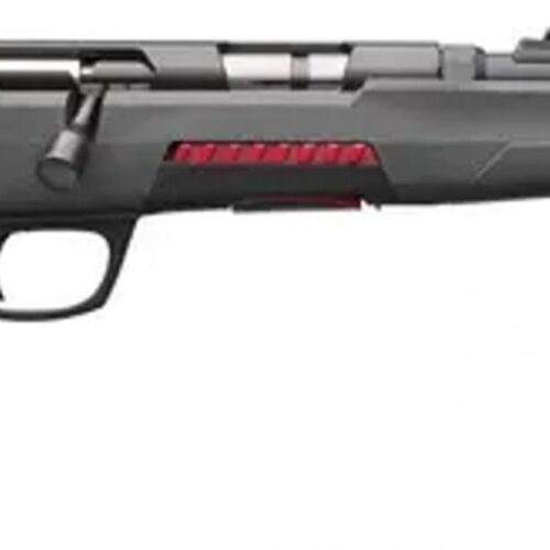WINCHESTER XPERT SR 22LR